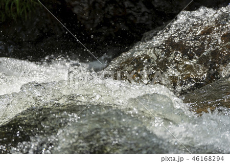 みずみずしい初夏の荒俣峡 46168294