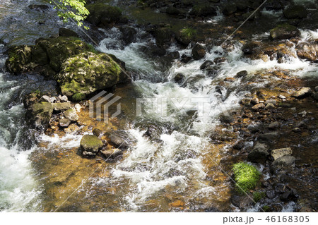 みずみずしい初夏の荒俣峡 46168305