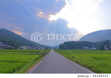 （丹波篠山）立杭の里の里山風景 46169544