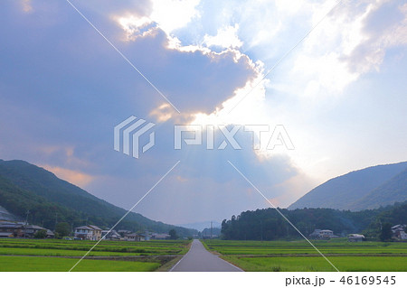 （丹波篠山）立杭の里の里山風景 46169545