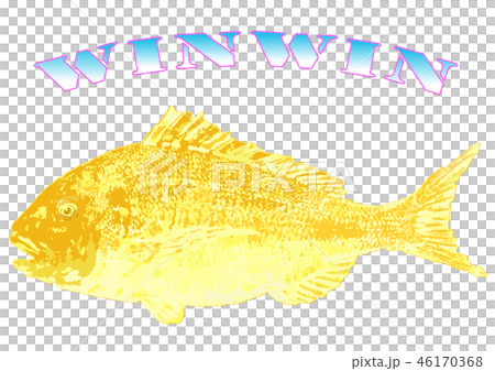 黄金の鯛2(WINWIN) 黄金の鯛2(WINWIN) 46170368