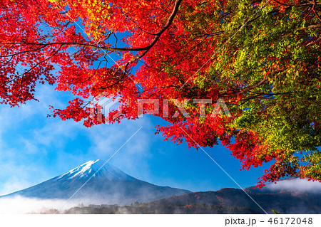 《山梨県》日本の秋・富士山と紅葉 《山梨県》日本の秋・富士山と紅葉 46172048