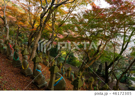 長慶寺の紅葉 46172305