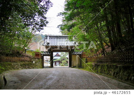 奈良 円照寺(圓照寺)の参道から山門を望む 奈良 円照寺(圓照寺)の参道から山門を望む 46172655