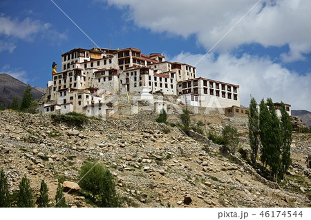Likir Gompa in Ladakh, India 46174544