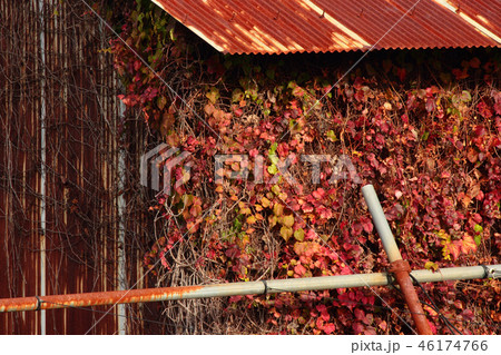 朽ちたトタン屋根の物置小屋の写真素材