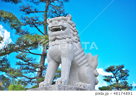 【誉田八幡宮 狛犬(阿像)】 大阪府羽曳野市誉田３-２−８ 46174891