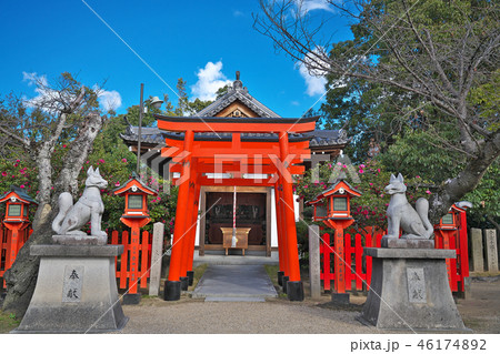 【誉田八幡宮 姫侍稲荷社】 大阪府羽曳野市誉田３-２−８ 46174892