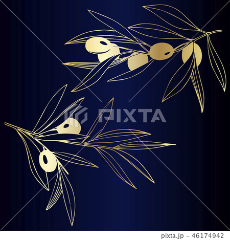 Vector Golden olive branch. Plant botanical foliage. Golden engraved ink art. Isolated olive 46174942