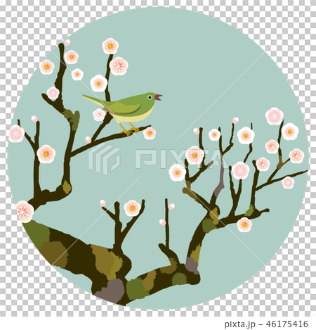 我向Ume投降 46175416