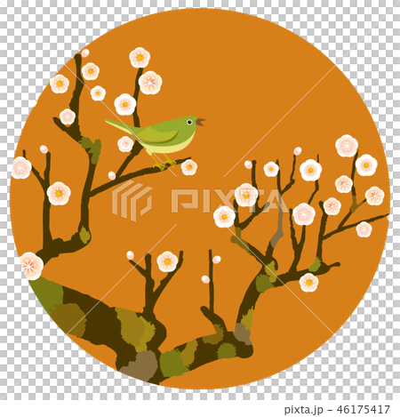 I surrender to Ume 46175417