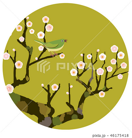 梅にうぐいす 梅にうぐいす 46175418