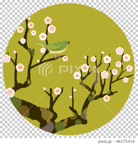 我向Ume投降 46175418