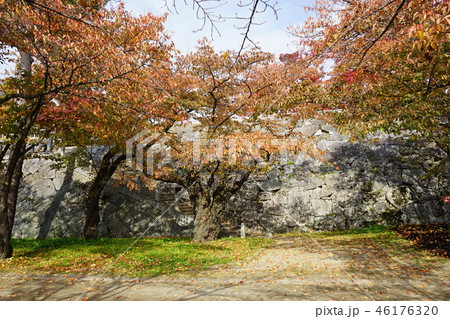 秋の盛岡城跡公園 秋の盛岡城跡公園 46176320