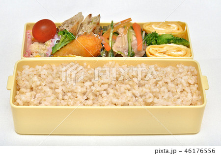 美味しいお弁当 46176556