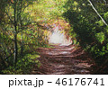 晩秋の林道の絵画作品 46176741