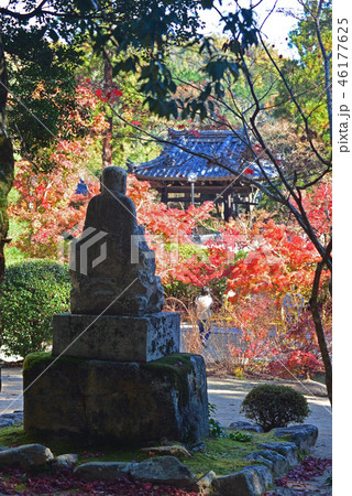 宝福寺の仏像と紅葉 46177625