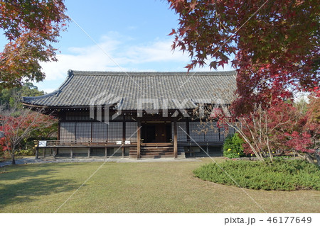 京都、山科にある勧修寺の宸殿（明正殿）と秋の名勝庭園の景観です 46177649