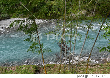 竹林と清流那賀川 竹林と清流那賀川 46178470