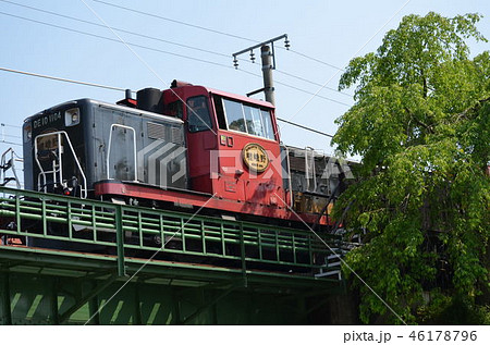 京都　春　新緑の嵯峨野トロッコ列車 46178796