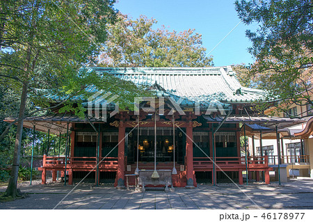 東京都 港区 赤坂氷川神社 本殿 東京都 港区 赤坂氷川神社 本殿 46178977