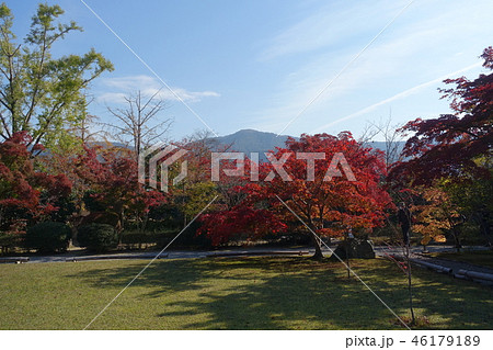 京都、山科にある勧修寺の名勝庭園の秋景色です 京都、山科にある勧修寺の名勝庭園の秋景色です 46179189