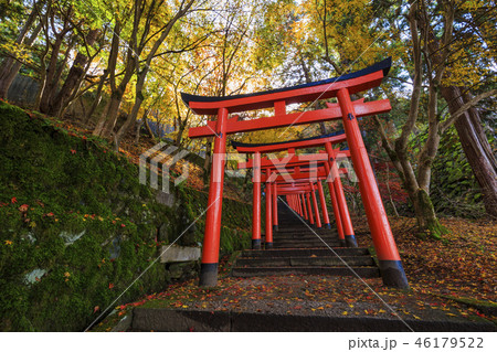 有子山稲荷神社の鳥居 46179522