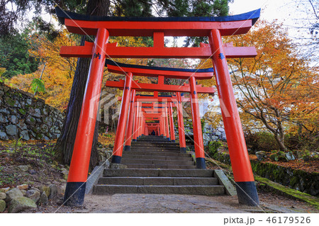 有子山稲荷神社の鳥居 46179526