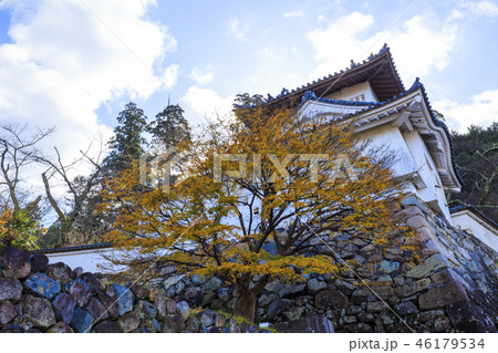 兵庫 出石城の風景 46179534