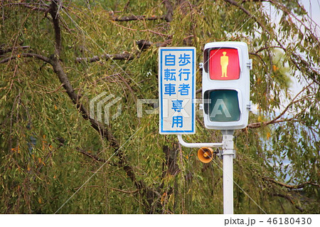 音響装置付信号機と、自転車歩行者専用の標示板。の写真素材 [46180430