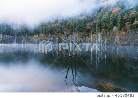 紅葉の自然湖 紅葉の自然湖 46180482