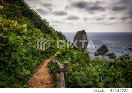 Coast of Shakotan 46180726