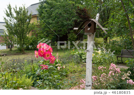 Flower garden 46180835