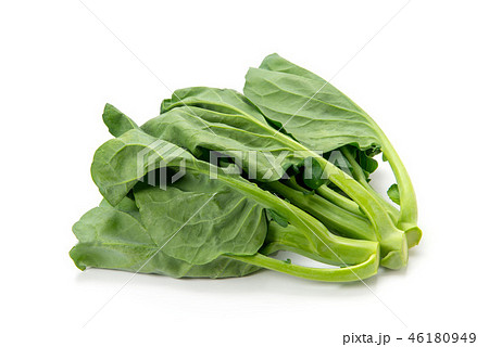 芥藍菜 芥藍菜 46180949