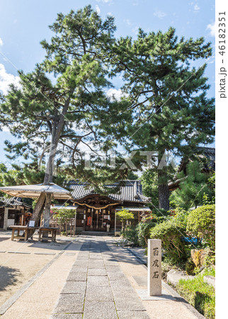 三蔵稲荷神社 46182351