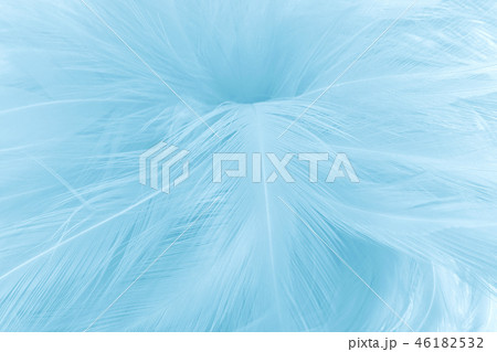 Blue pastel color chicken feathers texture. Blue pastel color chicken feathers texture. 46182532