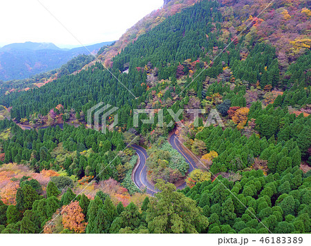 鷹ノ巣山山麓の英彦山天狗ライン上空 46183389