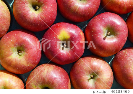 きれいに並べられたりんご ジョナゴールド 46183469