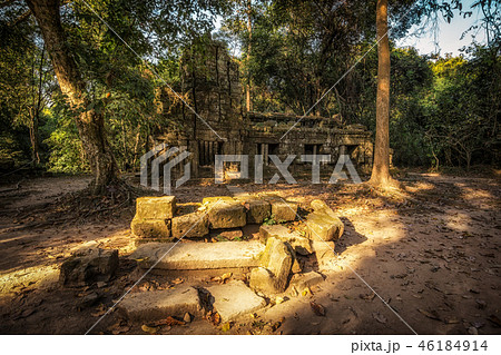 Ta Prohm Ta Prohm 46184914
