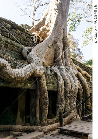 Ta Prohm Ta Prohm 46184926