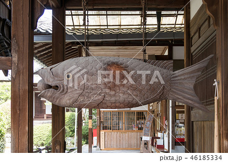 黄檗山萬福寺 黄檗山萬福寺 46185334