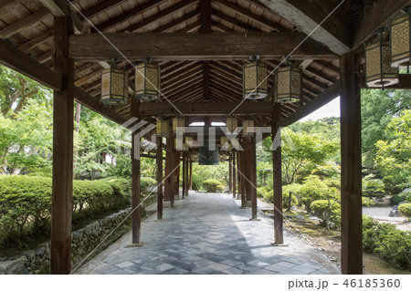 黄檗山萬福寺 46185360