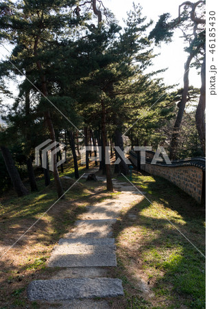 seongyojang forest 46185430