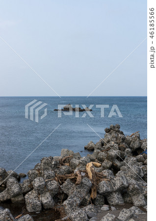 Shakotan peninsula tetrapod 46185566