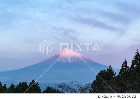 御殿場からの富士山 御殿場からの富士山 46185622