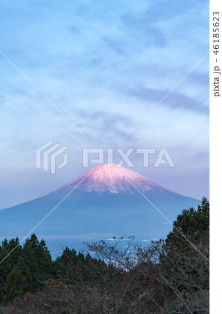 御殿場からの富士山 御殿場からの富士山 46185623