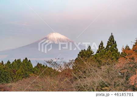 御殿場からの富士山 御殿場からの富士山 46185701
