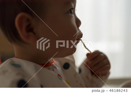食事 46186243