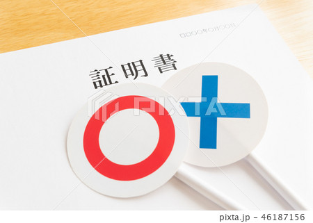 証明書　○×　審査　提出書類　資料　手続き　用紙 46187156