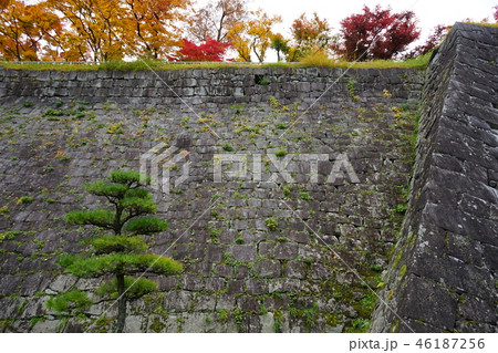 秋の盛岡城跡公園 秋の盛岡城跡公園 46187256